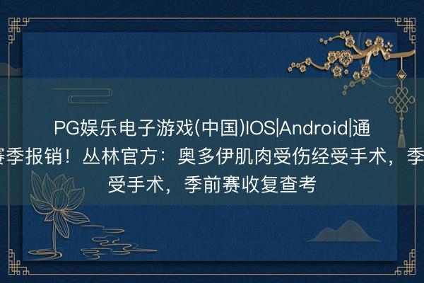 PG娱乐电子游戏(中国)IOS|Android|通用APP下载 赛季报销！丛林官方：奥多伊肌肉受伤经受手术，季前赛收复查考