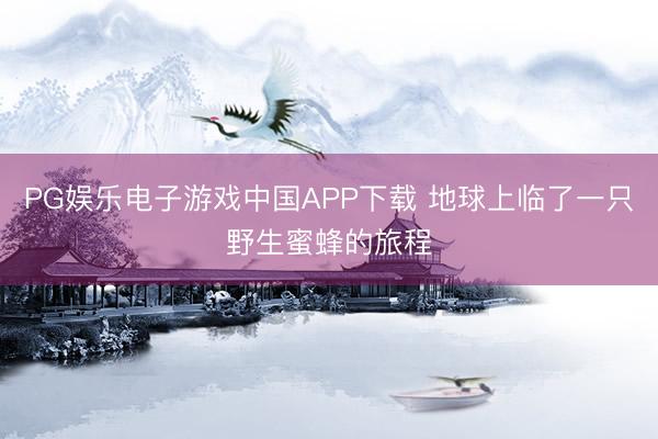 PG娱乐电子游戏中国APP下载 地球上临了一只野生蜜蜂的旅程