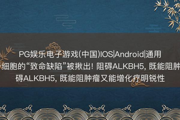 PG娱乐电子游戏(中国)IOS|Android|通用APP下载 结直肠癌干细胞的“致命缺陷”被揪出! 阻碍ALKBH5， 既能阻肿瘤又能增化疗明锐性