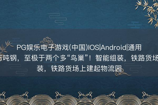 PG娱乐电子游戏(中国)IOS|Android|通用APP下载 14万吨钢，至极于两个多“鸟巢”！智能组装，铁路货场上建起物流园