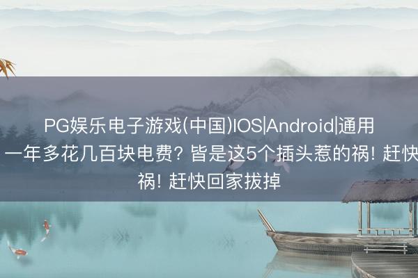 PG娱乐电子游戏(中国)IOS|Android|通用APP下载 一年多花几百块电费? 皆是这5个插头惹的祸! 赶快回家拔掉