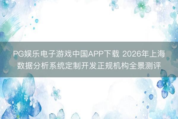 PG娱乐电子游戏中国APP下载 2026年上海数据分析系统定制开发正规机构全景测评