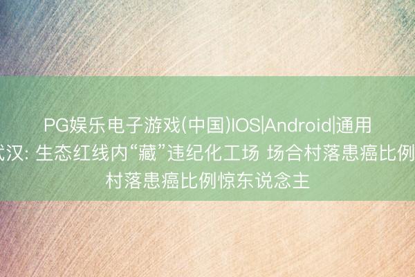 PG娱乐电子游戏(中国)IOS|Android|通用APP下载 武汉: 生态红线内“藏”违纪化工场 场合村落患癌比例惊东说念主