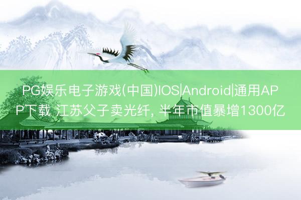 PG娱乐电子游戏(中国)IOS|Android|通用APP下载 江苏父子卖光纤， 半年市值暴增1300亿