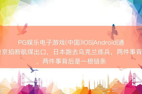PG娱乐电子游戏(中国)IOS|Android|通用APP下载 普京掐断航煤出口，日本跑去乌克兰练兵，两件事背后是一根链条