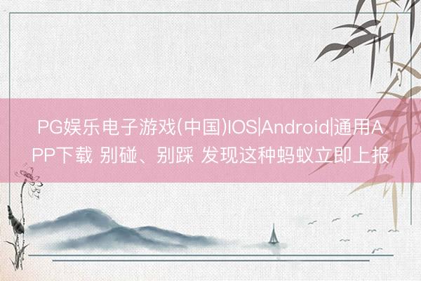 PG娱乐电子游戏(中国)IOS|Android|通用APP下载 别碰、别踩 发现这种蚂蚁立即上报
