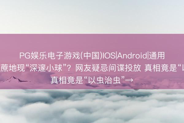 PG娱乐电子游戏(中国)IOS|Android|通用APP下载 甘蔗地现“深邃小球”？网友疑忌间谍投放 真相竟是“以虫治虫”→